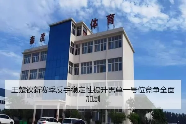 王楚钦新赛季反手稳定性提升男单一号位竞争全面加剧